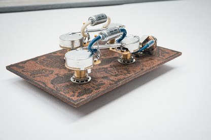 Les Paul Wiring Harness- VitaminQ