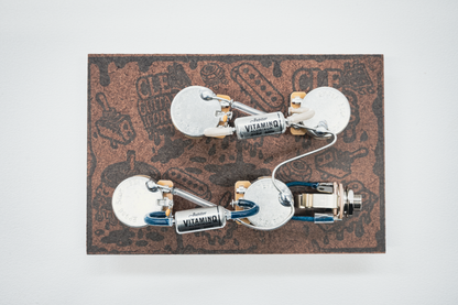 Les Paul Wiring Harness- VitaminQ