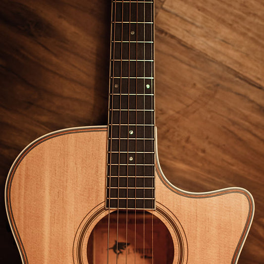 Pro Setup + Fret Level | Acoustic